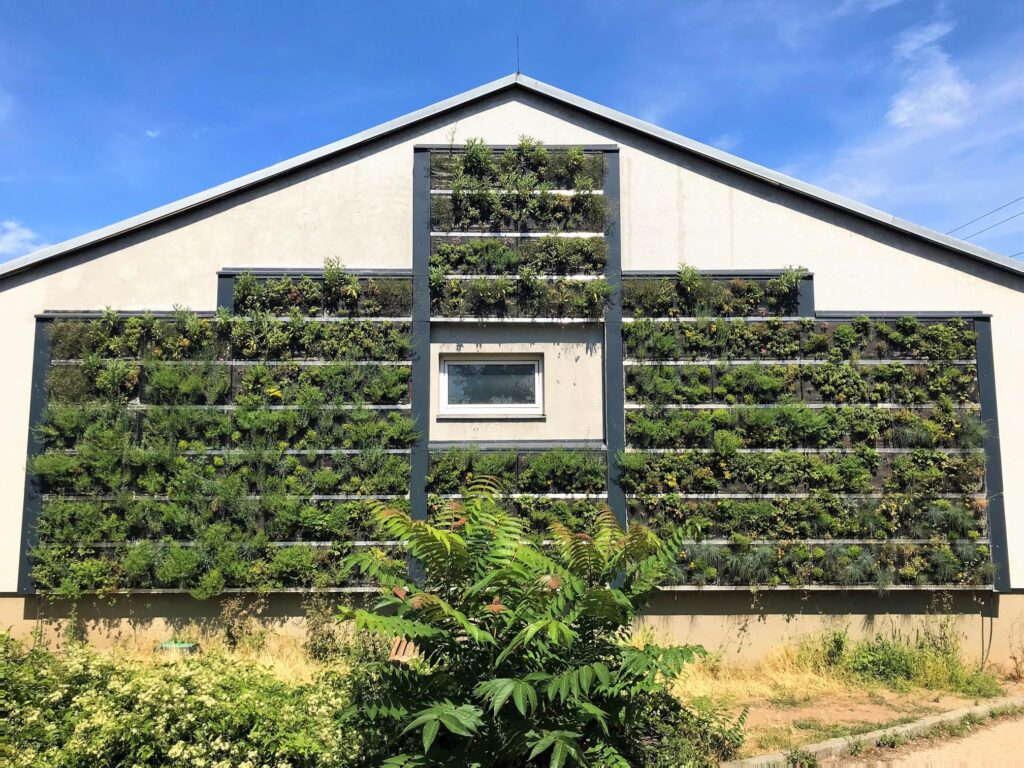 Begrüntes Fassadenmodul an Wand mit Pflanzen