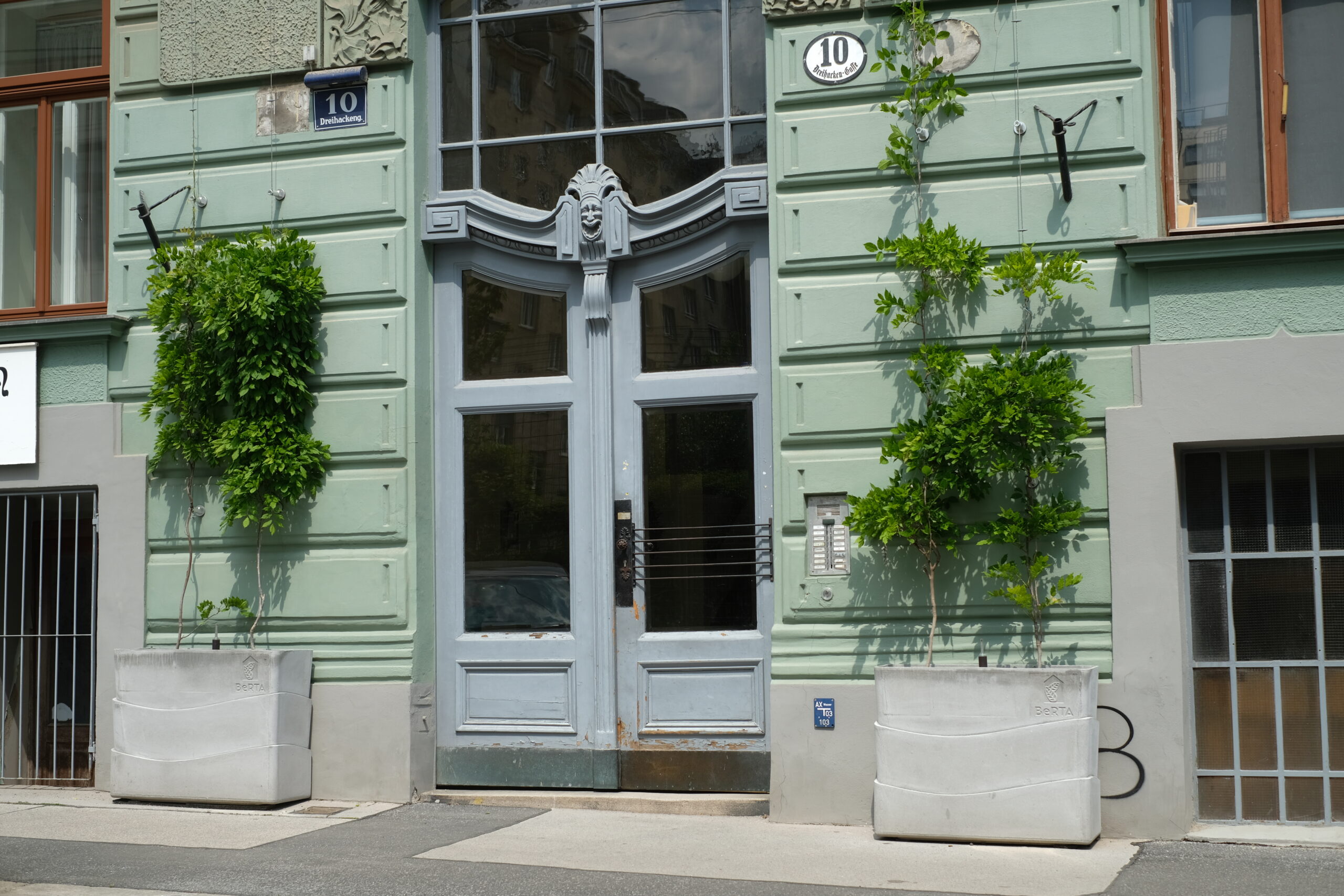 Tröge mit rankender Begrünung vor einer Hausfassade