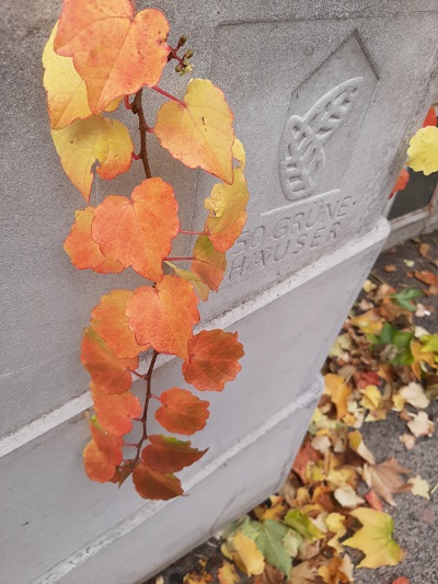 Bunte Blätter vor einer Hausfassade im Herbst