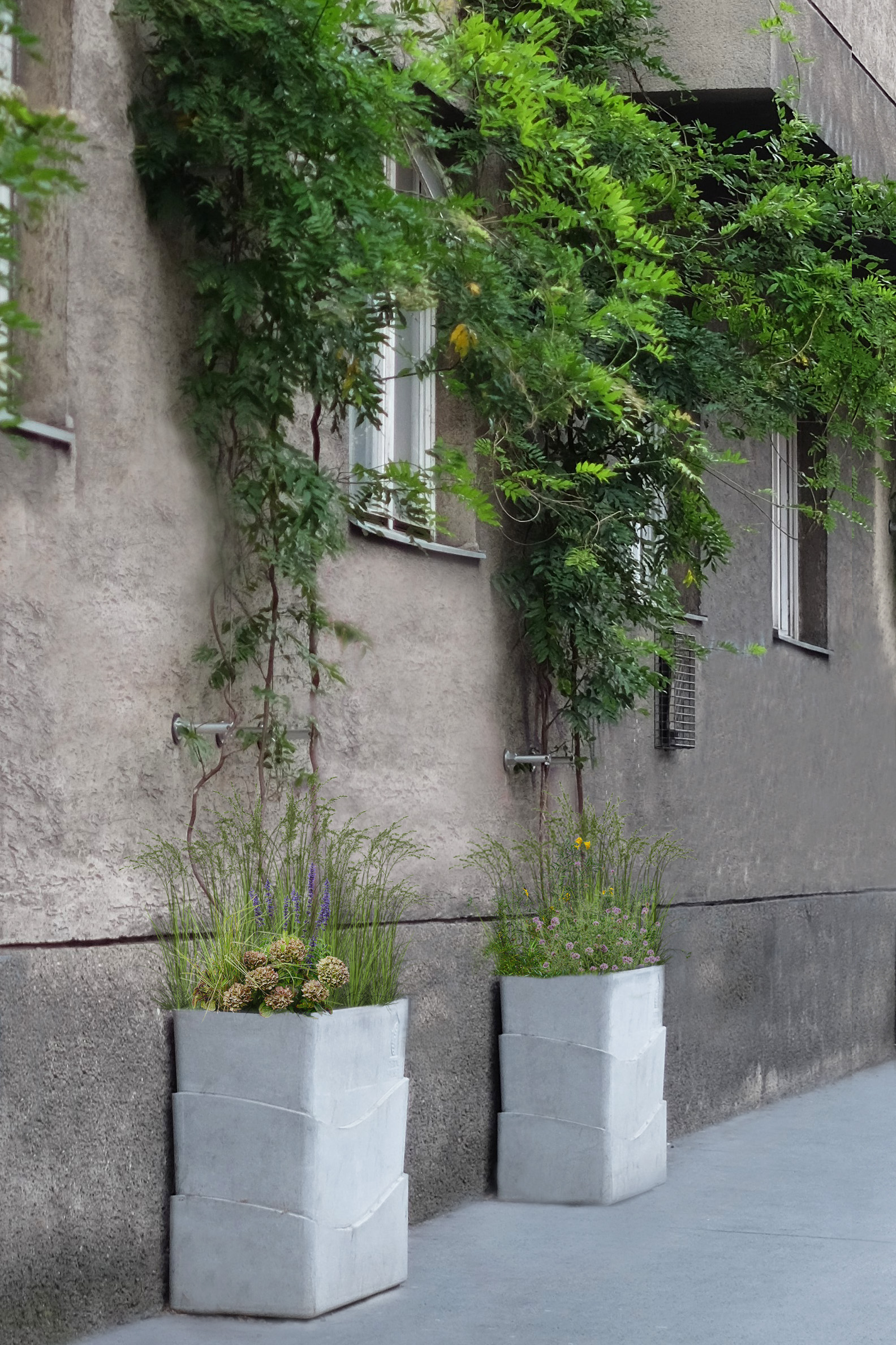 Tröge mit rankender Begrünung vor einer Hausfassade