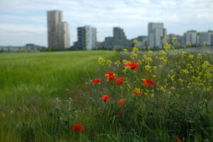 Ein blühender Stadtteil